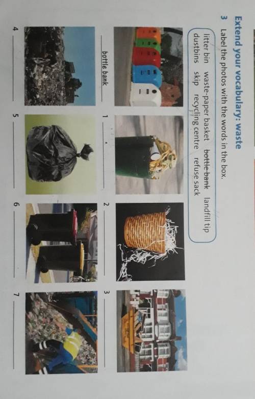 Label the photos with the words in the box.