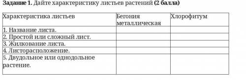 Дайте характеристику листьев растений ( ) Характеристика листьевБегония ​