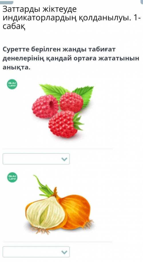 Суретте берілген жанды жанды табиғат денелерінің қандай ортаға жататынын анықта. 