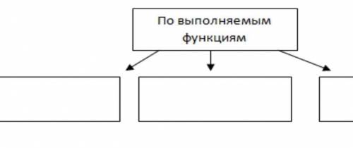 Хелп не понимаю. Изобразите в виде схемы различные типы классификации нейронов