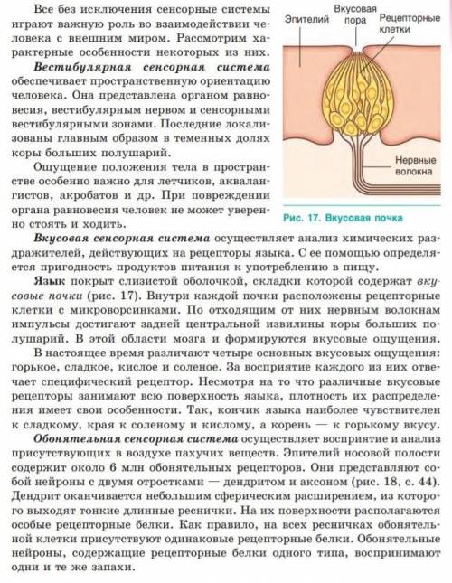 Вкусовая сенсорная система проводниковые отдел​
