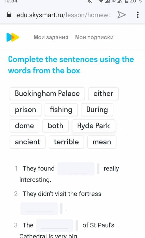 Conplete the sentences using the words from the box