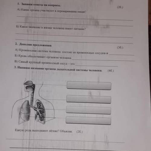 ответьте на все вопросы,Сор естествознание 3 класс