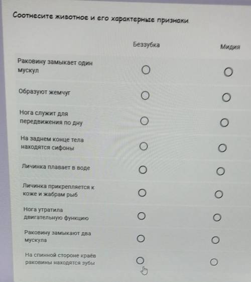 Соотнесите животное и его характерные признаки. БеззубкаМидияРаковину замыкает одинмускулОбразуют же