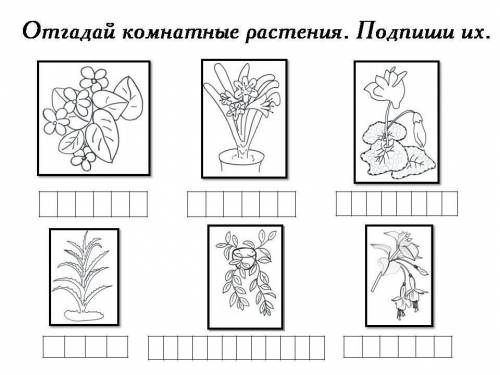 2 КЛАСС 2 ПОСЛЕДНИХ ЦВЕТКА