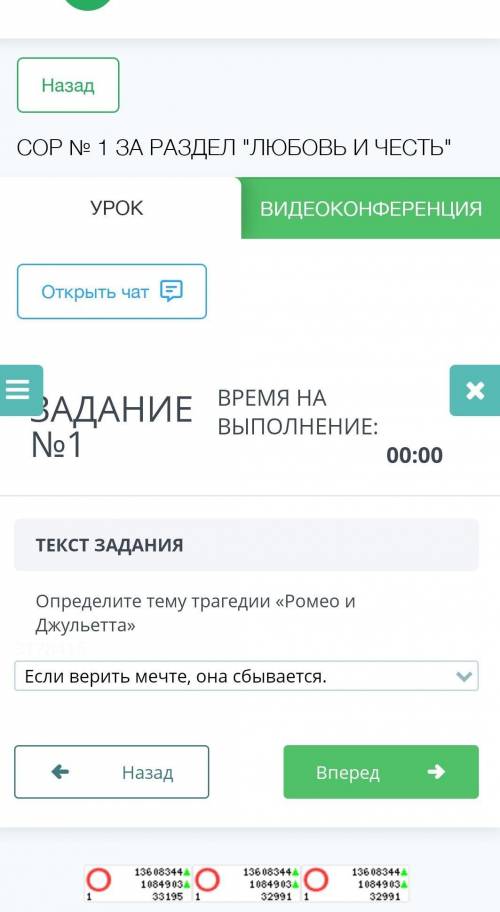 СОР по русской литературе 