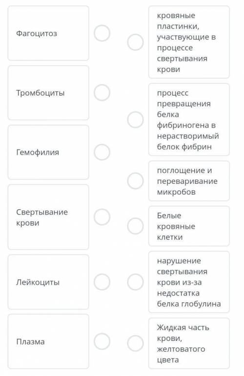 Сопоставь термины и их определения ЭТО СОР​