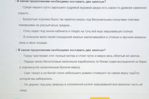 В каком предложении необходимо поставить две запятые? 