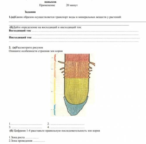 Сор по 7 класс по биологии 