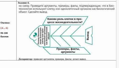 Шестое Задание До Завтра Выполнить иОк Ок 