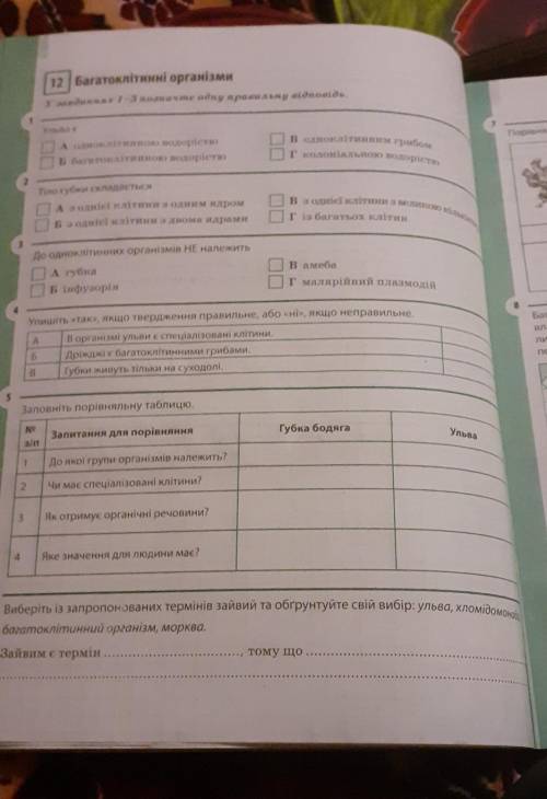 Розкажіть будь ласка що тут треба робити