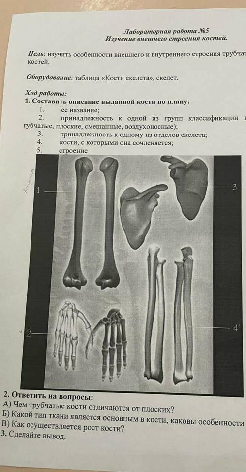 Для моего варианта нужны кости 2,4.