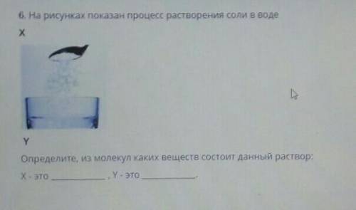 6. На рисунках показан процесс растворения соли в воде ХYОпределите, из молекул каких веществ состои