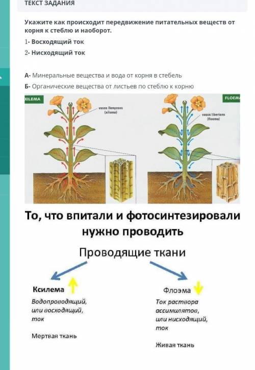 Укажите как происходит... У меня СОР быстрее, времени немного осталось