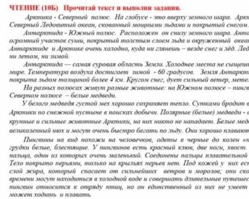 Сходства северного и южного полюсов 