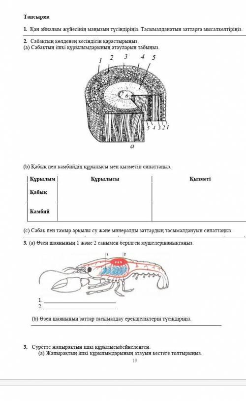 кто может а может я другие умоляю биология