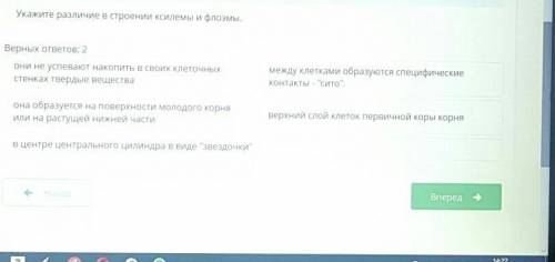 укажи различие в строении ксилемы и флоэиы онлайн мектеп