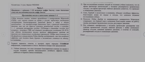 Русский язык 11кл ЕГЭСРЧОНО 