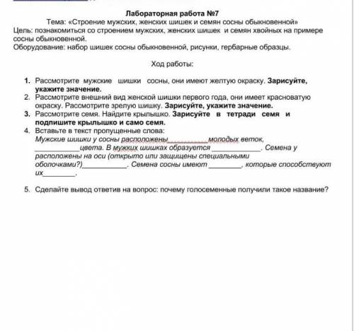 4 и 5 номер это очень сегодня сдавать 