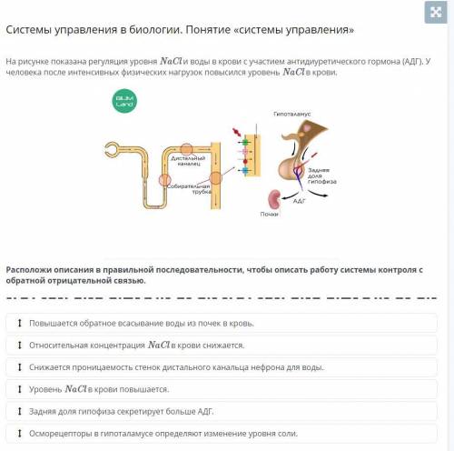 нужно поставить в правильном порядке