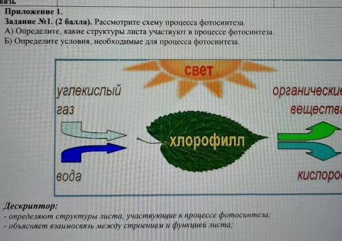 по биологии , задание номер 1 А и Б