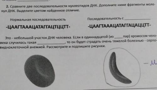 Задание по биологии, 8 класс