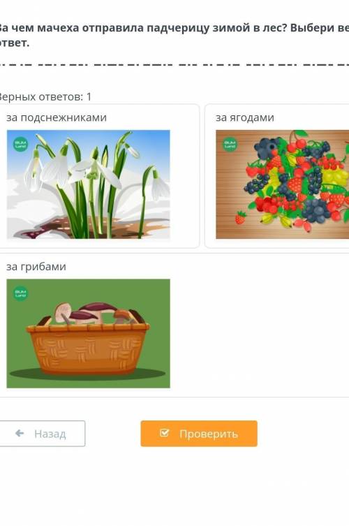 Зачем мачеха отправила падчерицу зимой в лес 12 мес