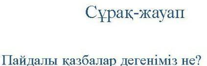 ПАЙДАЛЫ КАЗБАЛАР ДЕГЕНіміз НЕ