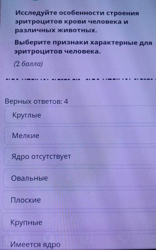 Потом последнее Двояковогнутые у меня сор​