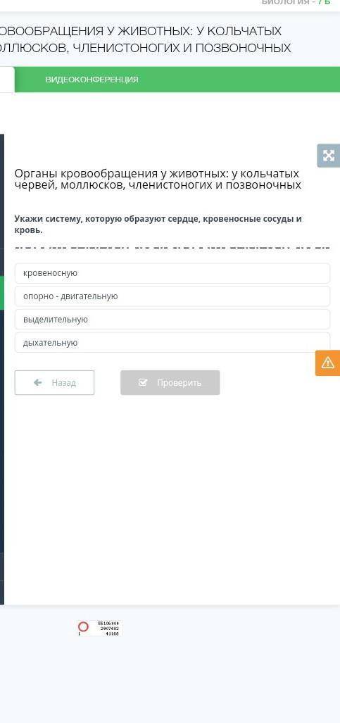 Кровеноснуюопорно - двигательнуювыделительнуюдыхательную7