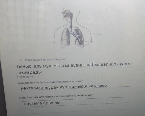 Екінші жауап.біріншісін вопростар дегеннең іздендер