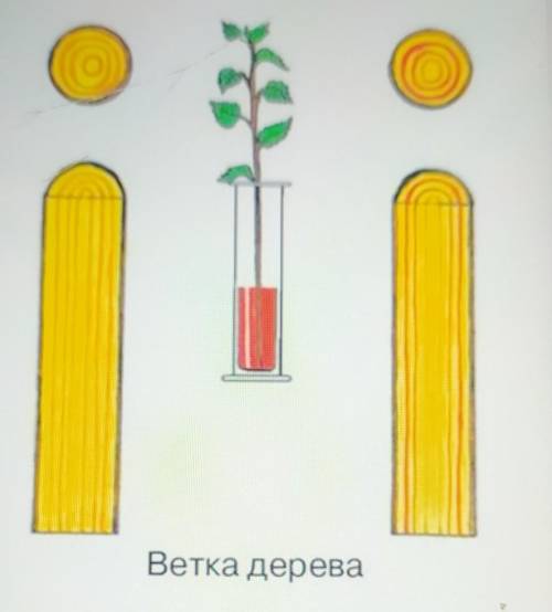 Посмотрите внимательно нарисунок. Что было доказано с данного опыта
