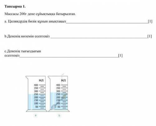 Ким биринши барине жауап береди алады