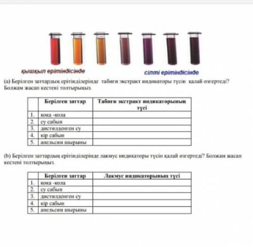 Кесте толтырып беріндерші