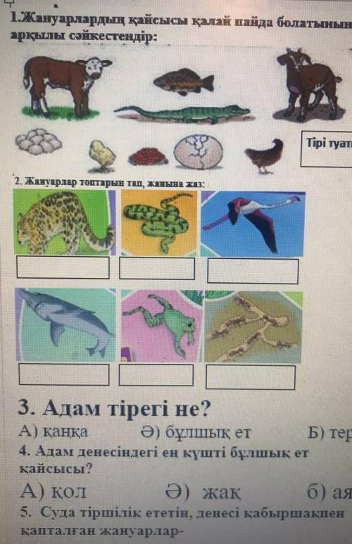 Найдите все правильные ответы 