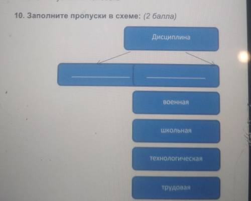 Заполните пропуски в схеме 