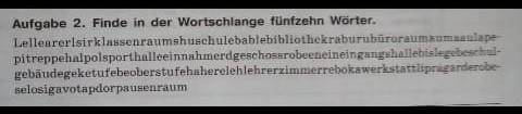 Aufgabe 2. Finde in der Wortschlange fünfzehn Worter​