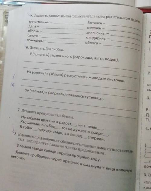 Решите номера #5 #6 #8 номер 7 не надо