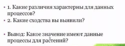 Какое значение имеют данные процессы для растений?