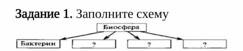 Задание 1. Заполните схемуБиосфераБактера