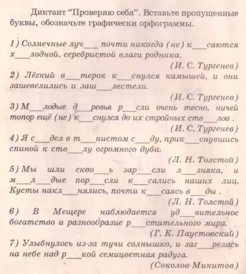Упр 24 , Диктант Проверь Себя