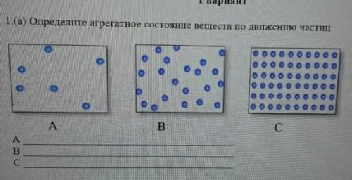 по естествознанию пятый класс