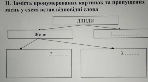 II. Замість пронумерованих картинок та пропущенихмісць у схемі встав відповідні словаhelp​