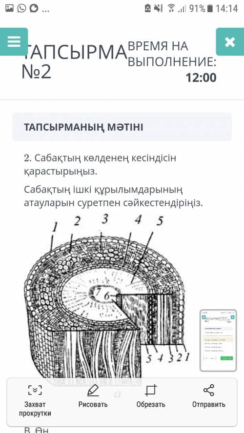 Биология соч онлайн мектеп отиниш комектесндерш