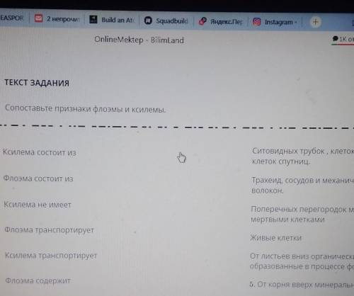 Можно пожайлуста побыстрей осталось 3 мин)