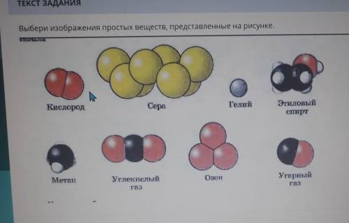 с Естествознанием 6 класс