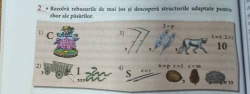 Rezolva rebusurile de mai jos si descopera structurile adaptate pentru zbor ale pasarilor​