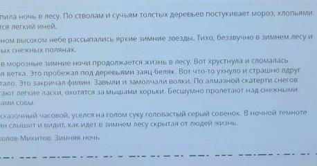 Прочитай текст. В каком абзаце находится предложение, в котором заключена основная мысльтекста?​