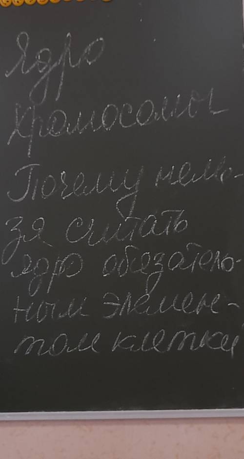 ответ на вопросы 5 класс биология​