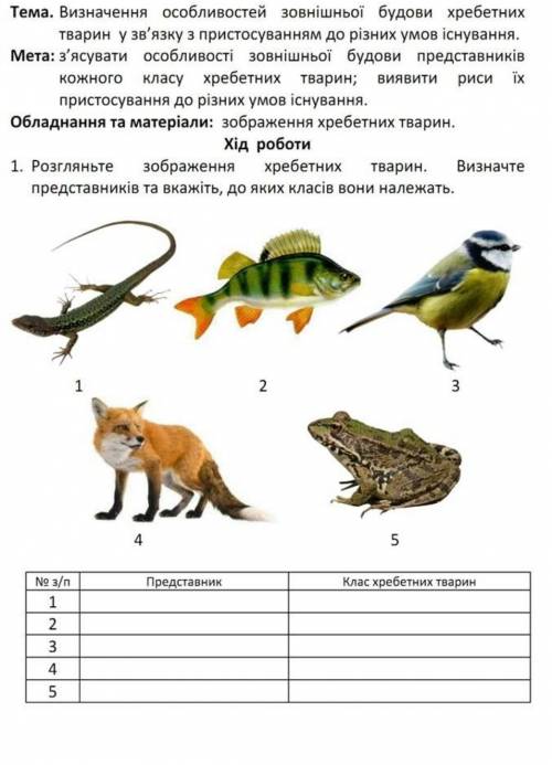 Які існують класи хребетних тварин​